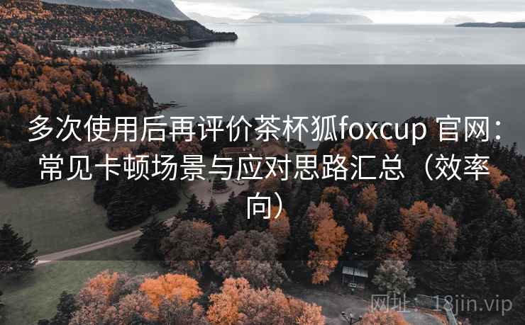 多次使用后再评价茶杯狐foxcup 官网：常见卡顿场景与应对思路汇总（效率向）
