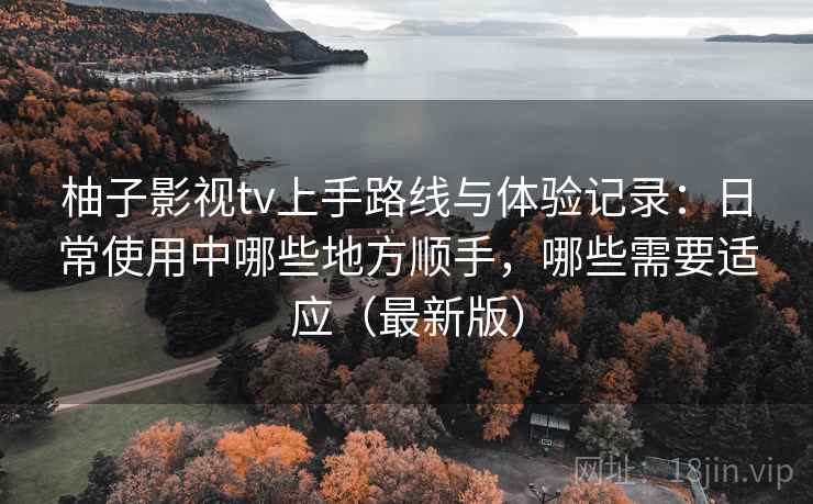 柚子影视tv上手路线与体验记录：日常使用中哪些地方顺手，哪些需要适应（最新版）