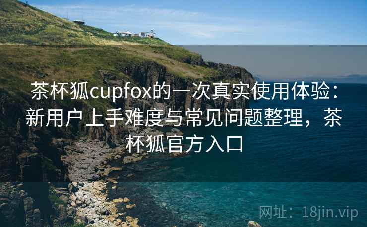 茶杯狐cupfox的一次真实使用体验：新用户上手难度与常见问题整理，茶杯狐官方入口