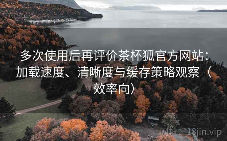 多次使用后再评价茶杯狐官方网站：加载速度、清晰度与缓存策略观察（效率向）