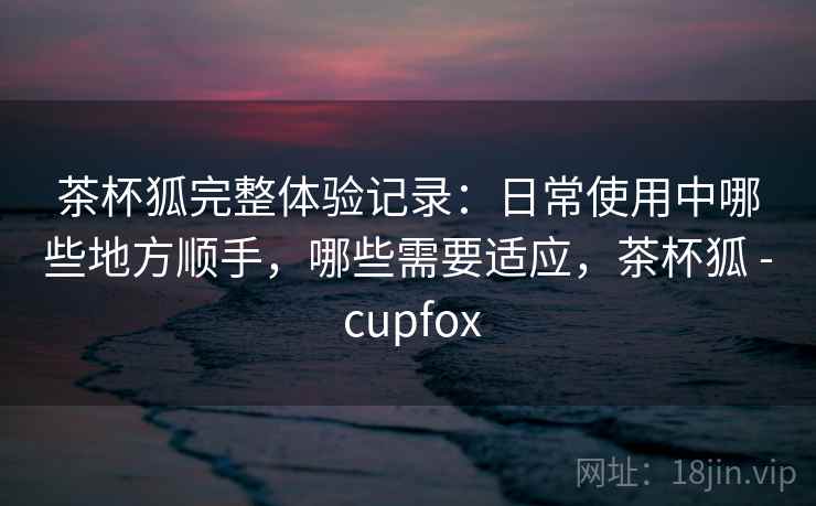 茶杯狐完整体验记录：日常使用中哪些地方顺手，哪些需要适应，茶杯狐 - cupfox