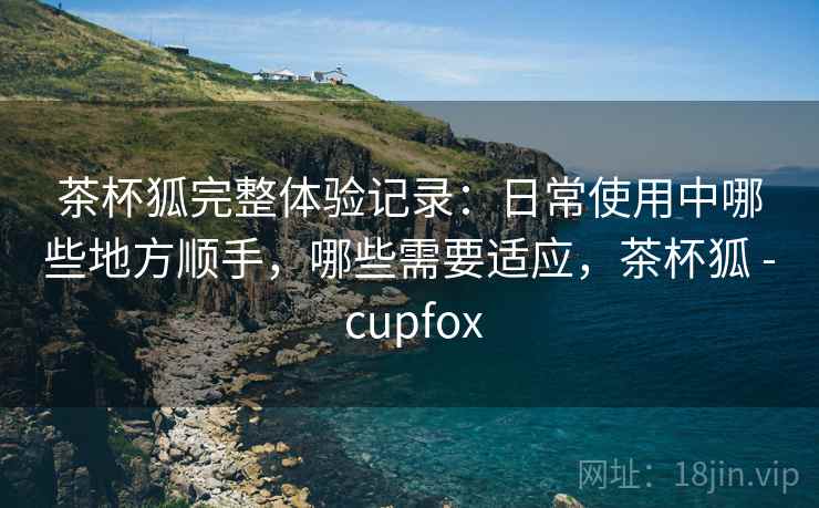 茶杯狐完整体验记录:日常使用中哪些地方顺手,哪些需要适应,茶杯狐 - cupfox 第2张 茶杯狐完整体验记录:日常使用中哪些地方顺手,哪些需要适应,茶杯狐 - cupfox 第2张